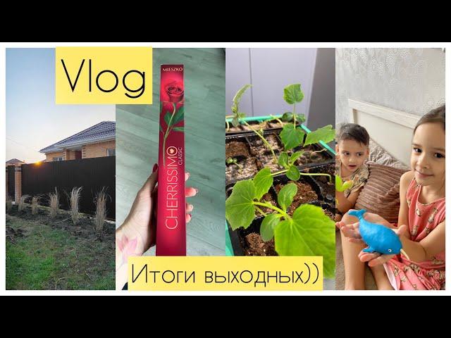 Как мы отдохнули? 3 дня без детей! Декоративные кусты) Куча подарков!