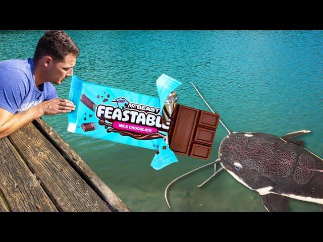 Fishing with Candy