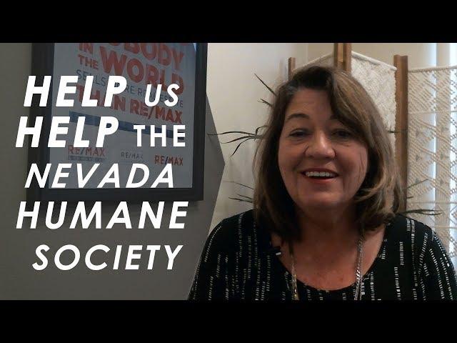 Reno Area Real Estate Agent: Help Save the Kitty with Us in 2018