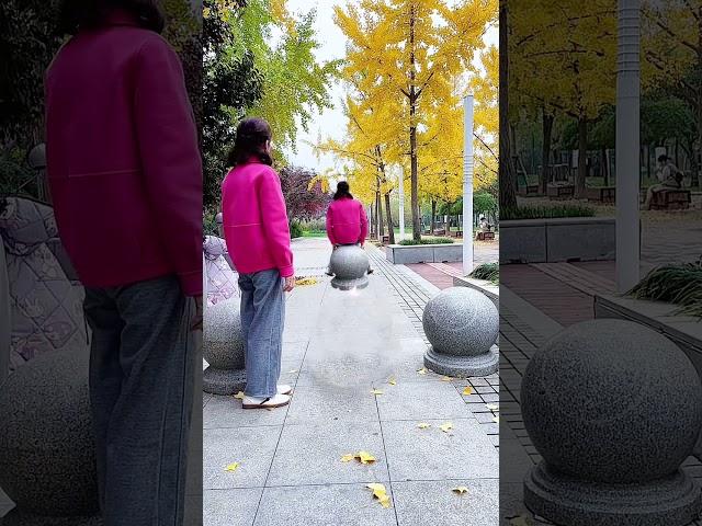 Falling leaves indicate the cooler autumn wind. Go out for a walk every day and enjoy the beauty
