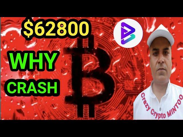 BTC $62800 Why Again CRASH ||  Bitgert brise Update || Crazy Crypto Mintoo