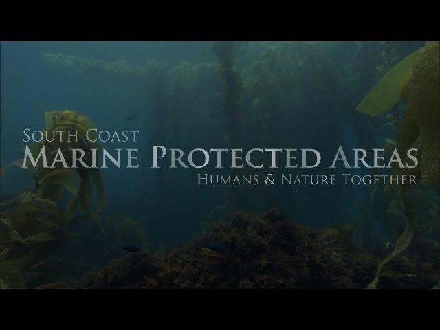 South Coast Marine Protected Areas: Humans and Nature Together