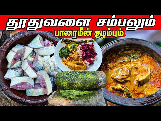 எங்கள் மதிய உணவு தூதுவளை சம்பலும் பாரை குழம்பும் | Our Village life | vanni vlog