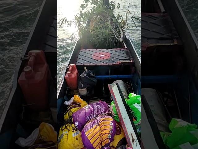 membuat rumpon ikan di laut Kalimantan#shorts