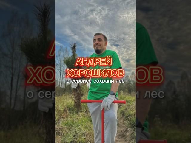 Андрей Хорошилов о сервисе «Сохрани лес»