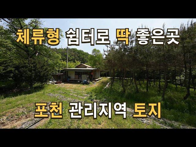 매물130 소나무 숲과 농막있고 서울에서 1시간 거리 주말에 캠핑도 하면서 힐링하는 나만에 휴식처 체류형 쉼터로 딱 알맞은 포천토지매물.