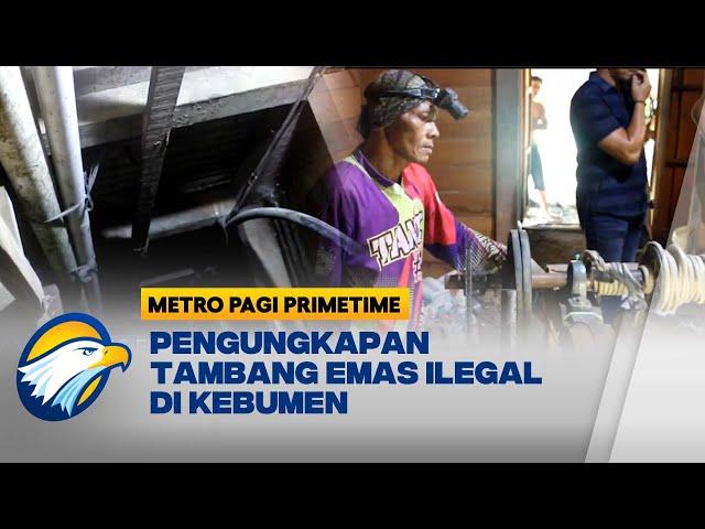 Tambang Emas Ilegal Berkedok Kebun Pepaya di Kebumen