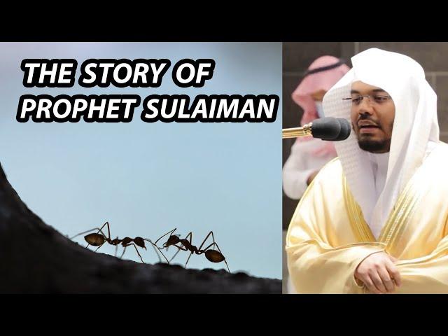 The Story Of Prophet Sulaiman | Sheikh Yasser Dossary | Amazing Recitation From Surah Naml