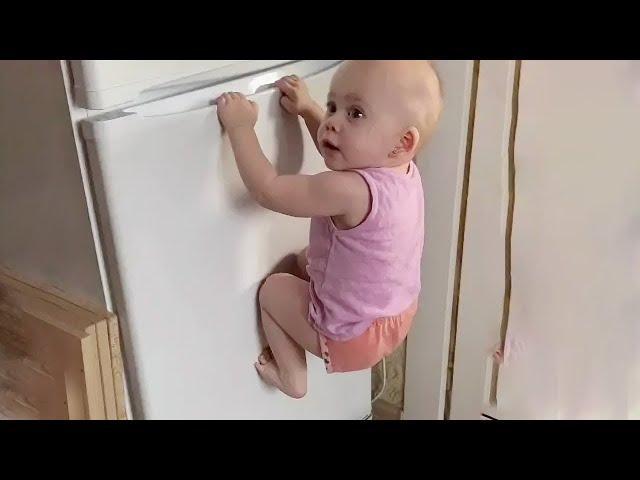 When Your Baby Is the Family Comedian – Laugh Out Loud Nonstop! - Part 28