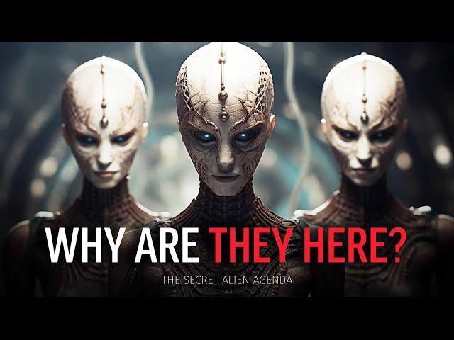 Paul Wallis - WHY ARE THEY HERE? The Secret Alien Agenda - What You NEED to Know!  Documentary