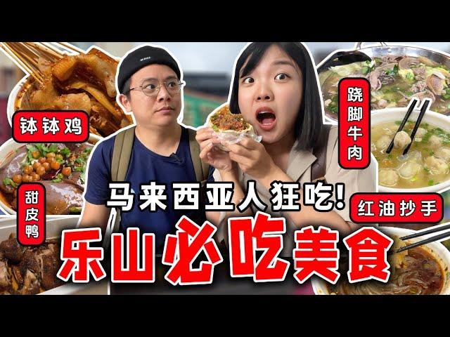 【川藏旅游EP16】四川被低估的美食之都！乐山逛吃一个胃真的装不完！