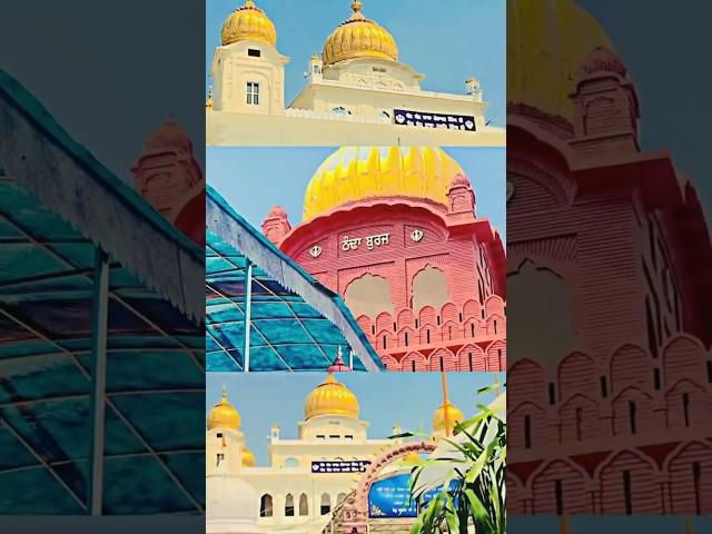 Chhoti shehzadi shahadat || Youtubeshortvideo#sikhitihaas#