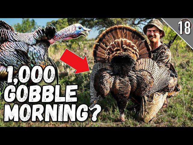 Hunting FIRED UP Gobblers!  (Awesome Texas Turkey Hunt!)