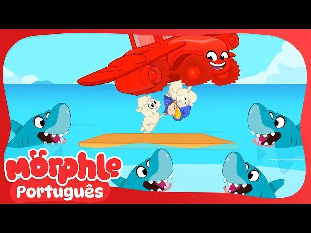 Tubarão Bebê tem cuidado | Morphle em Português | Desenhos em Portugues