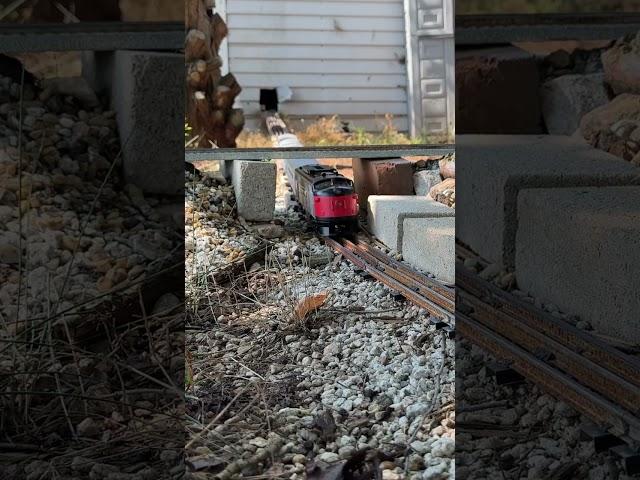 Fast train #Amtrack #lionel  #gardenrailway #garden #train #locomotive #railfan