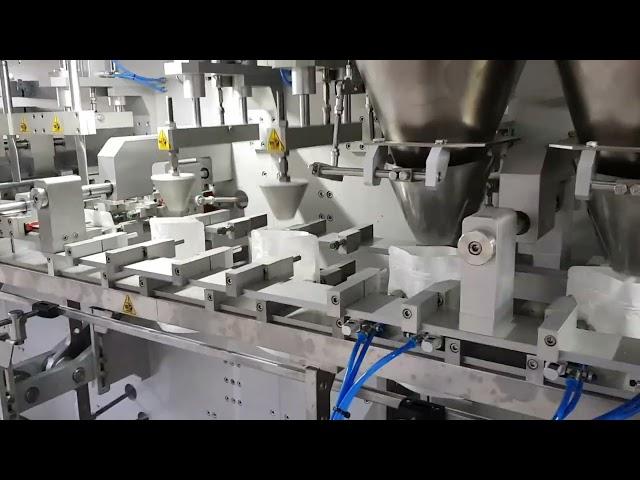 H 16 Dx Dublex Full Servo Control Premade Doypack Packaging Machine