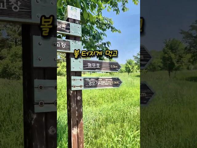 일주일 사이에 연꽃이? 경포가시연습지 근황