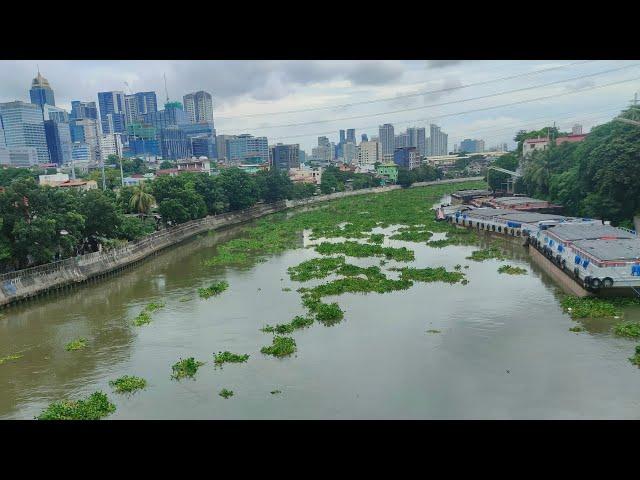 DALAWANG ISLA PA!BUMALIK MGA WATER HYACINTS!BINAKBAK NA KALSADA!PASIG RIVER ESPLANADE