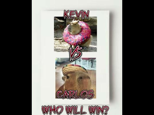 Kevin the capybara vs Carlos the capybara