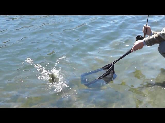 How to Fly Fish on a Bright Sunny Day