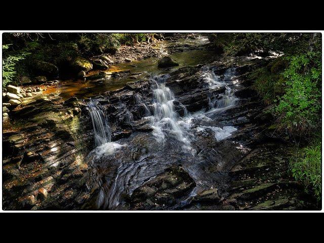 Amazing conditions at the Black Wood of Rannoch