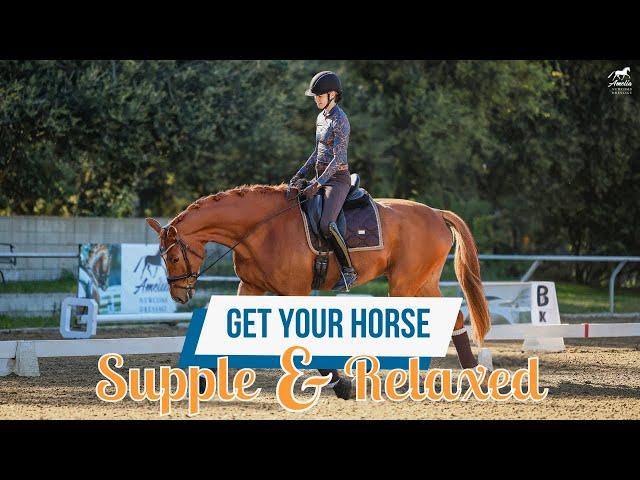 Check These Three Things for a Relaxed and Supple Horse