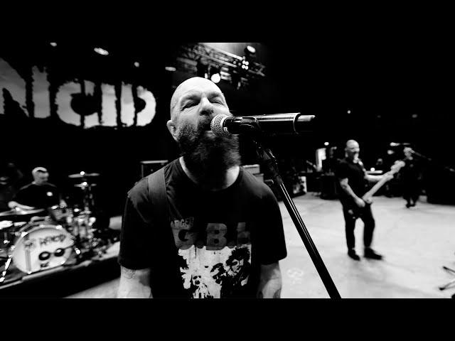 Rancid - "Live Forever"