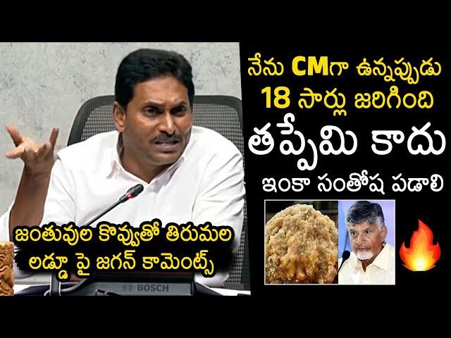 YS Jagan Unexpected Comments On Tirumala Laddu Issue | CM Chandrababu Naidu | News Buzz