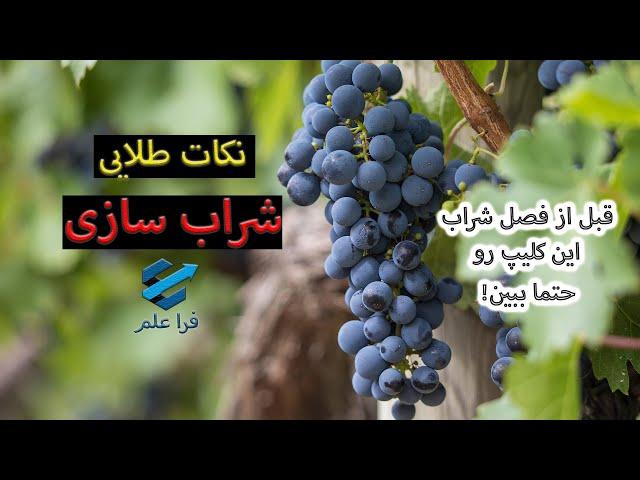 نکات طلایی شراب سازی؛ چطور یک شراب با کیفیت درست کنیم