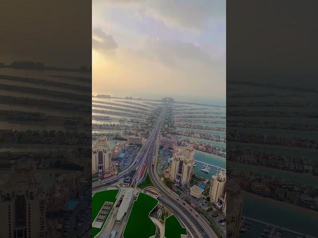 #traveldubai #palmjumeira #burjkhalifa #dubailife #luxury #travel #viral #reels #youtubeshorts #dxb