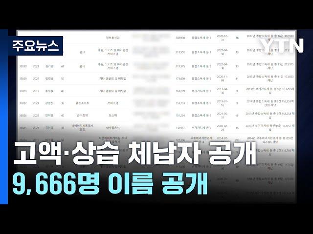 김진명, 이혁재, 에드워드 권 등 고액·상습 체납자 명단 공개 / YTN