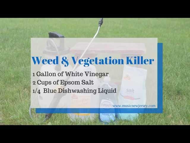 Homemade Weed Killer, Safer than Roundup