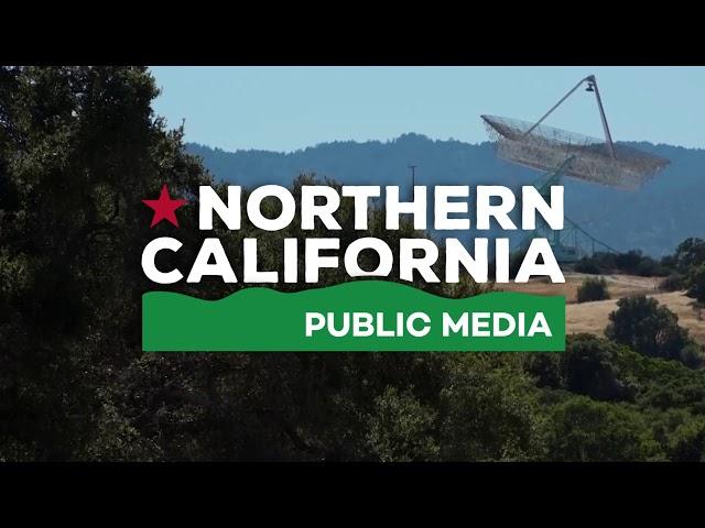 Northern California Public Media ID (2020) #15