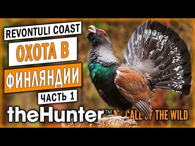 ОХОТА НА ГЛУХАРЯ! НОВЫЙ ЗАКАЗНИК "ПОБЕРЕЖЬЕ РЕВОНТУЛИ"! | theHunter Call of the Wild  | (часть 1)