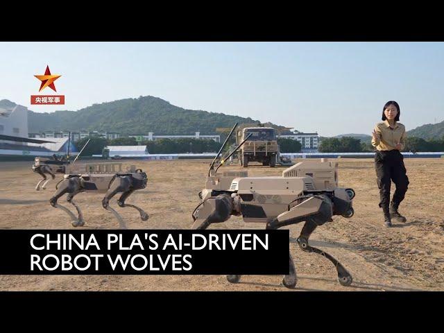 Chinese military unveils 70kg robot wolf, a step further than robot dog, at Zhuhai Air Show