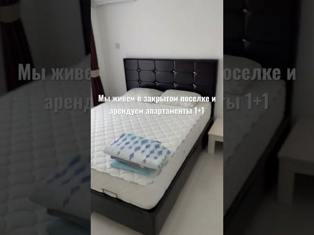 Стоимость аренды жилья на Северном Кипре #кипр #путешествия #shorts #арендаквартир #cyprus