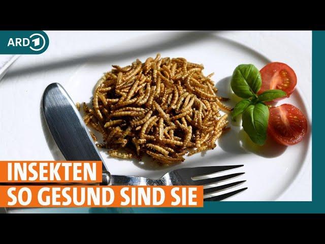 Insekten in Lebensmitteln: Wie gesund sind sie? | ARD Gesund