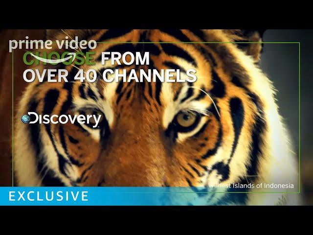 Welcome to Amazon Channels | Prime Video