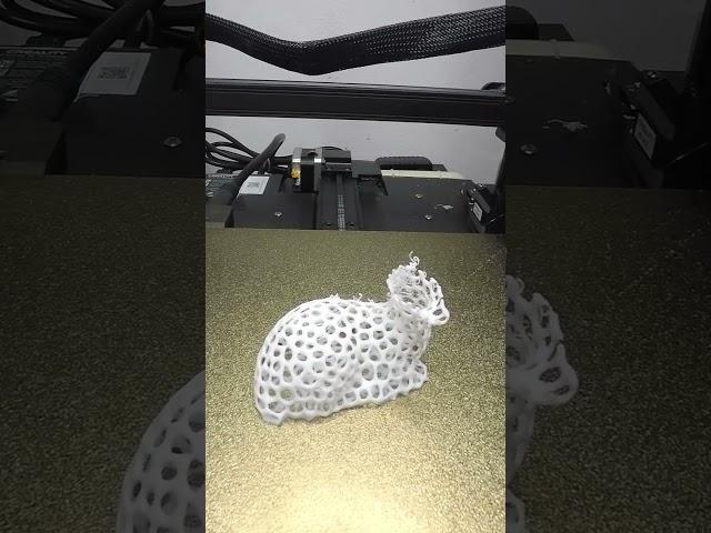 3D Printed Holey Fawn Time Lapse