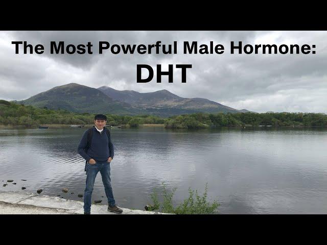 The Most Powerful Male Hormone  DHT YT