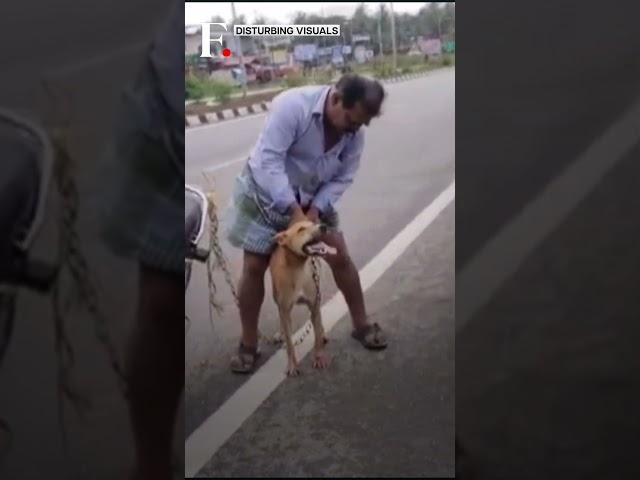 India: Man Ties Dog To Bike & Drags It For Nearly 2 Kilometres | N18G