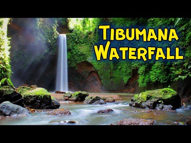  Tibumana Waterfall: Bali's Best Kept Secret