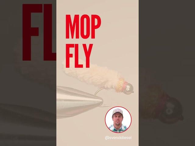 Mop Fly Pattern Short