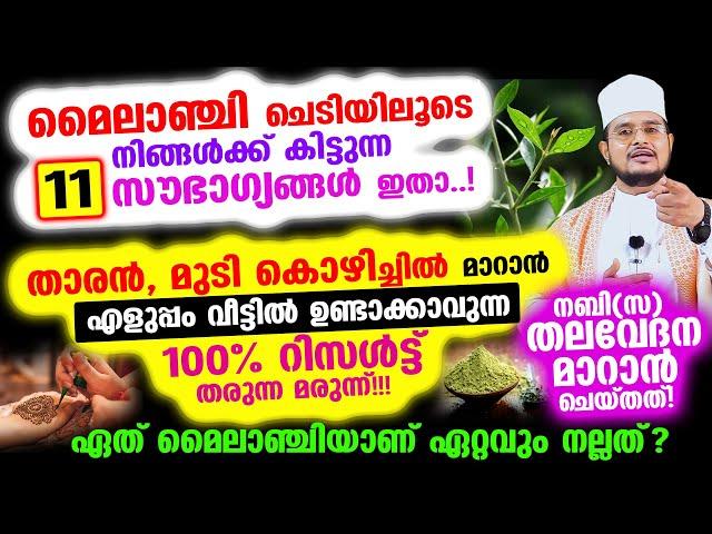 മൈലാഞ്ചി ചെടിയിലൂടെ നിങ്ങള്‍ക്ക് കിട്ടുന്ന 11 സൗഭാഗ്യങ്ങള്‍ ഇതാ..!