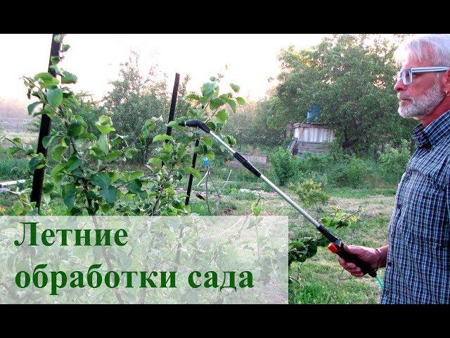 Летние обработки сада (Битоксибациллин)