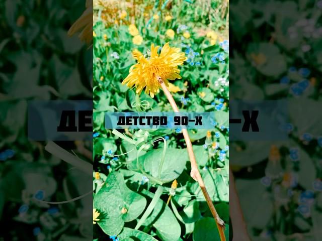 Детство 90х #детство #детствовссср #90s #воспоминания #воспоминаниядетства #игры #одуванчик #цветы