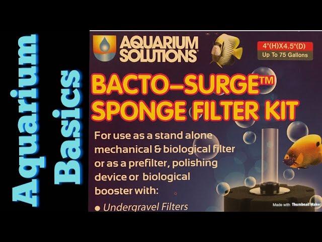 Basics: Aquarium Sponge filters