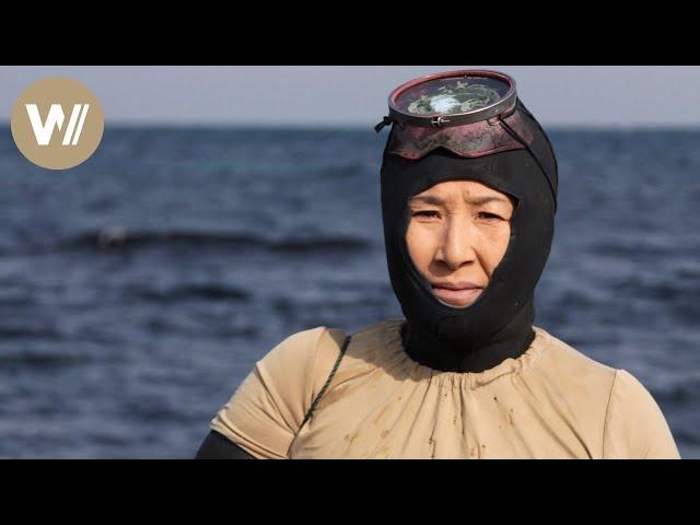 South Korea: Sea women hold their breath to survive | "Breathing Underwater" - Documentary, 2016