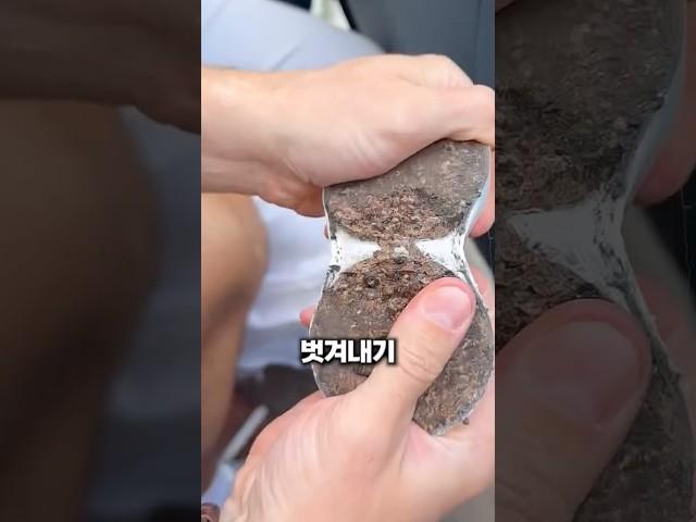 야구공으로 효도하는 법