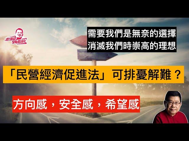 中国公布民营经济促进法草案，此舉被視為是恢復民企信心的最新措施。據稱有四個亮點。能有效化解「需要我們是無奈的選擇，消滅我們是崇高的理想」的普遍疑慮嗎？依法保護私人財產不受侵犯，能立法嗎？